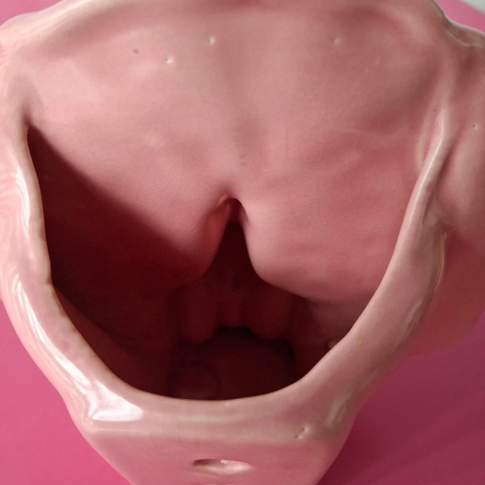 Vintage USA Pottery Pink Peacock Ceramic Wall Pocket Planter MCM Bird Decor